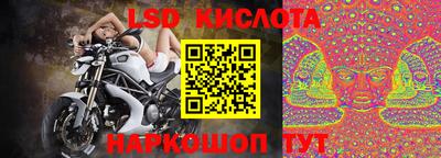 прущие грибы Ефремов