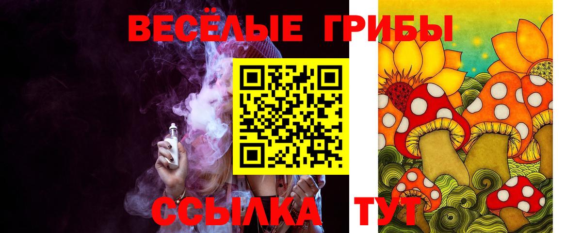 Владикавказ  Псилоцибиновые грибы GOLDEN TEACHER  Вход с VPN  Галлюциногенные грибы Cubensis 